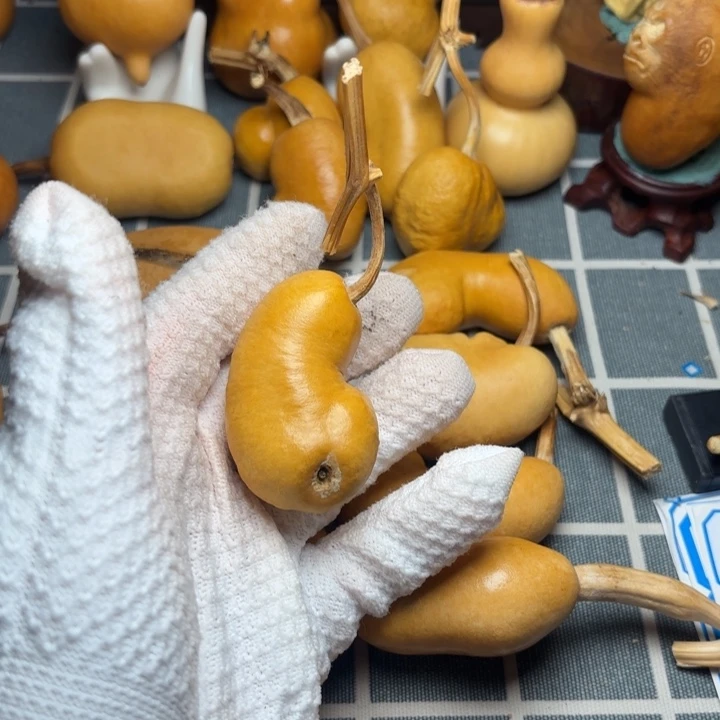 王***疃葫芦66666666666666