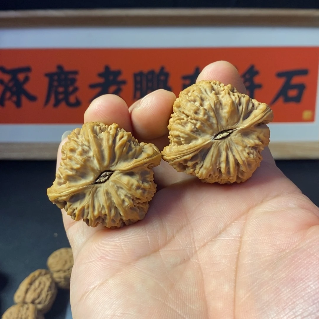 碧***山核桃涿鹿南将啊啊啊啊啊