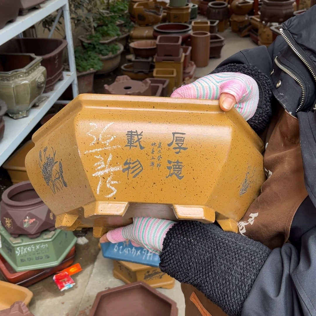 花盆紫砂盆景艺术