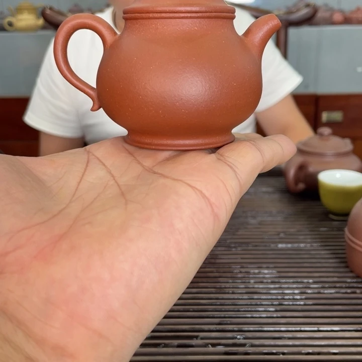 茶壶紫砂哈哈哈哈哈这个综艺节目真的