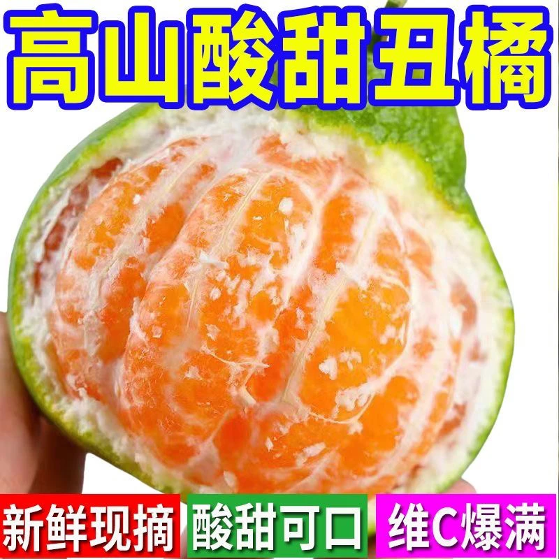 高山丑橘头茬青皮丑橘季时令水果鲜甜多汁个大饱满皮薄肉厚