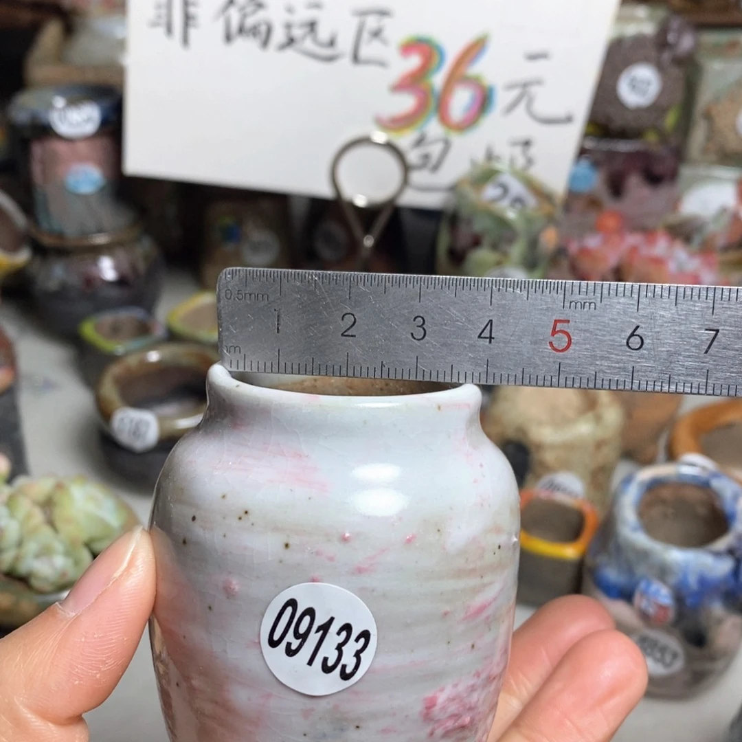 花盆拍5送一个小礼物