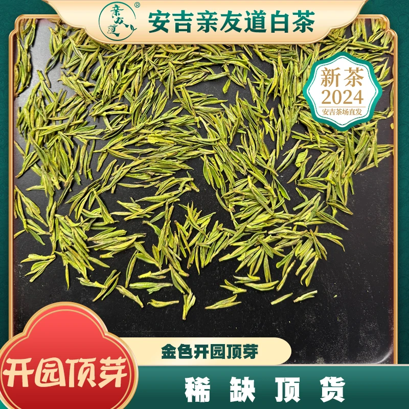 【开园顶芽】 高白化2024新茶浙江安吉黄杜村白茶春茶