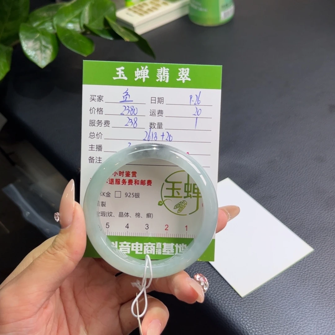 一***鱼翡翠未镶嵌手镯手镯