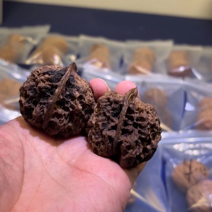 文玩核桃吊坠古树