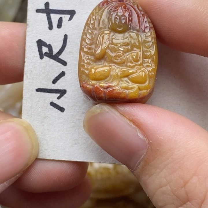 硅化珊瑚（珊瑚玉）未镶嵌颈饰