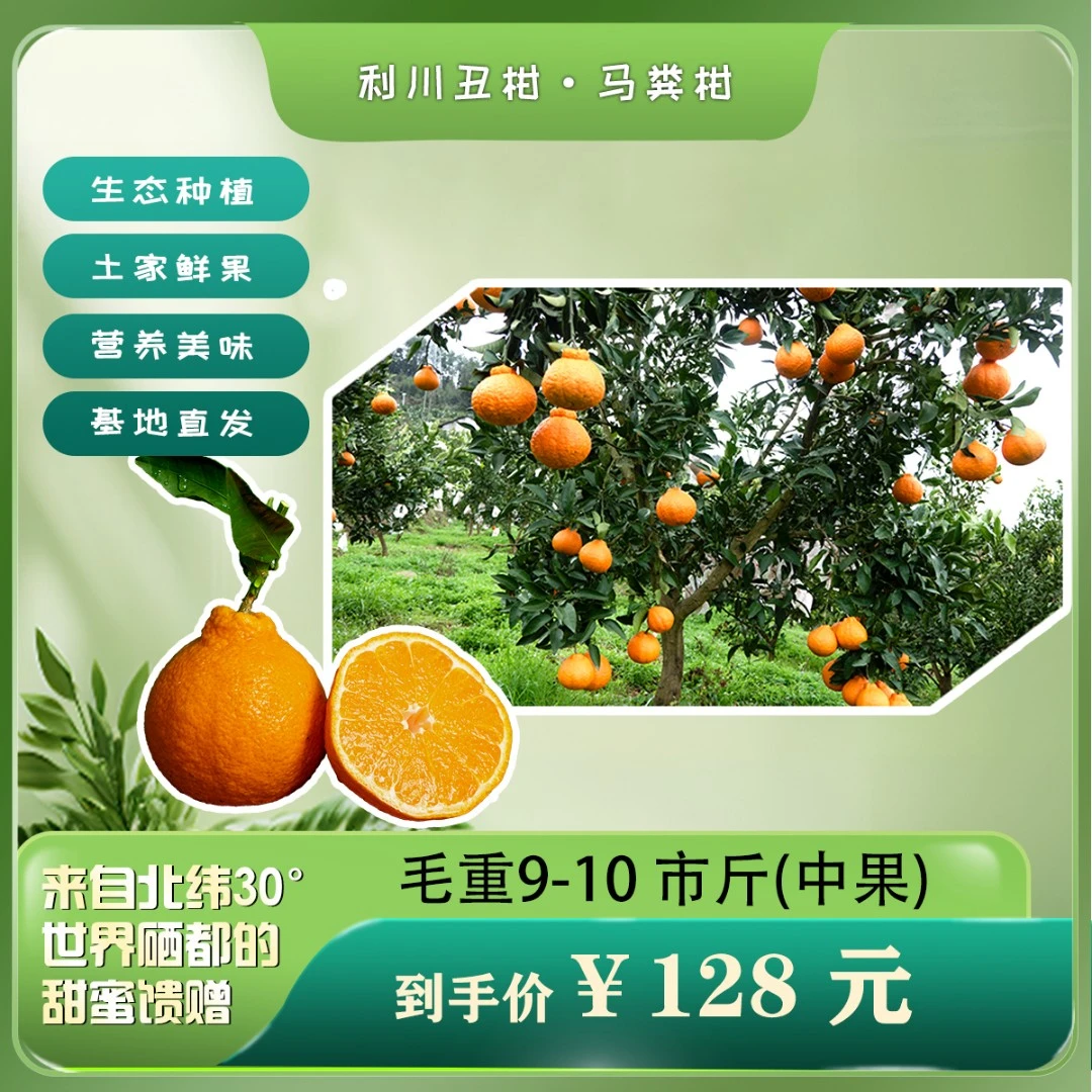 利川丑柑，基地直发