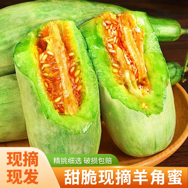 山东羊角蜜3斤4.5斤装甜瓜新鲜水果脆甜多汁甜瓜当季直发