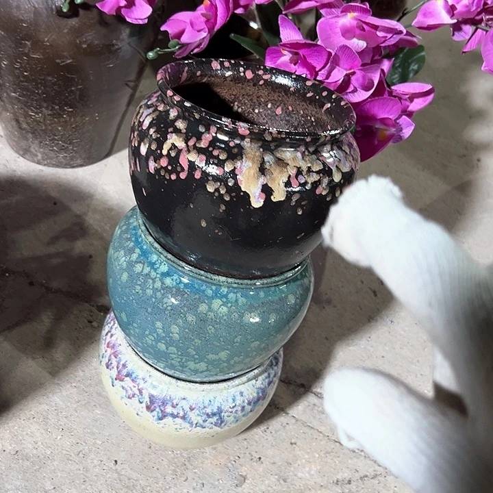 紫砂花藤花盆花盆