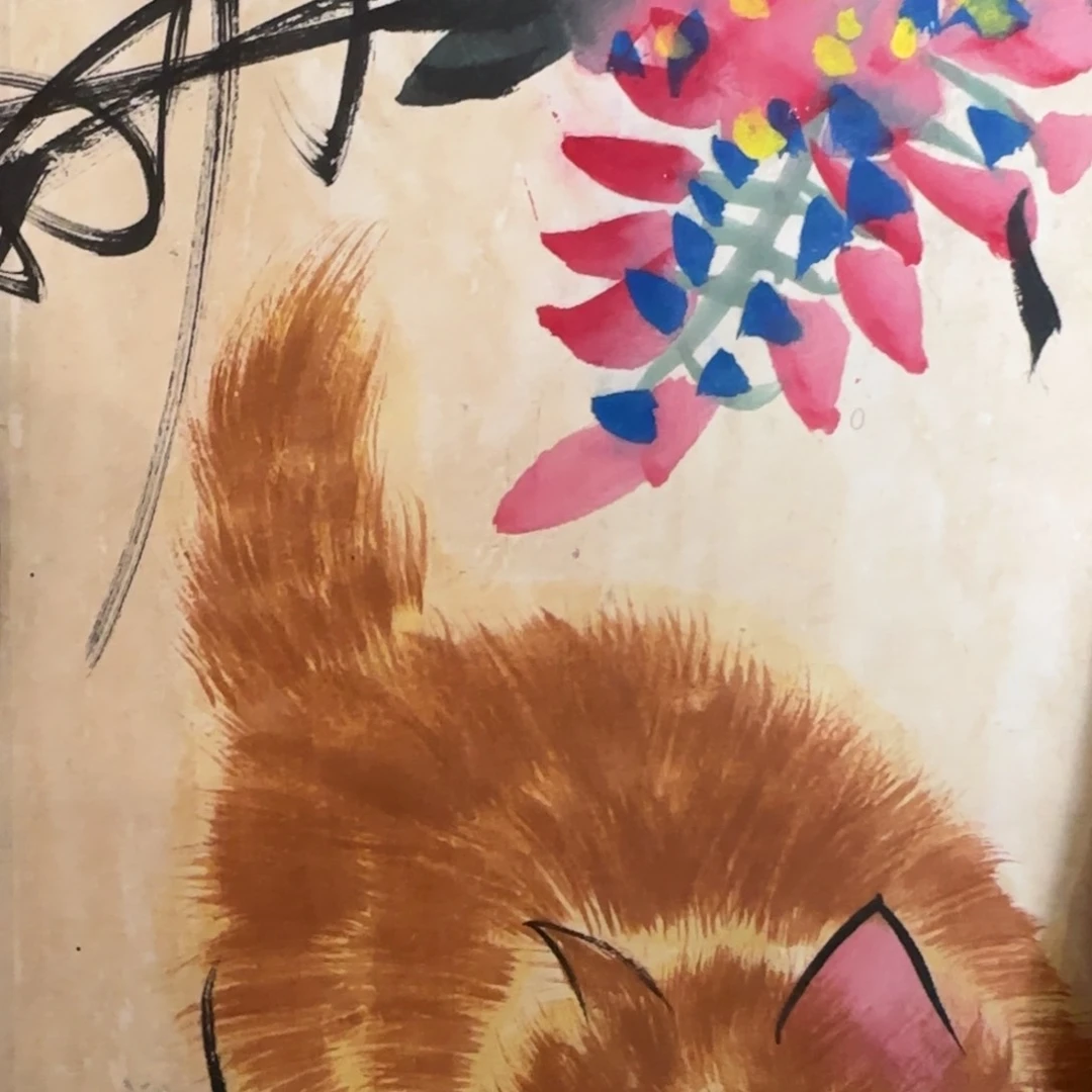 D****绒好了已经安排好了