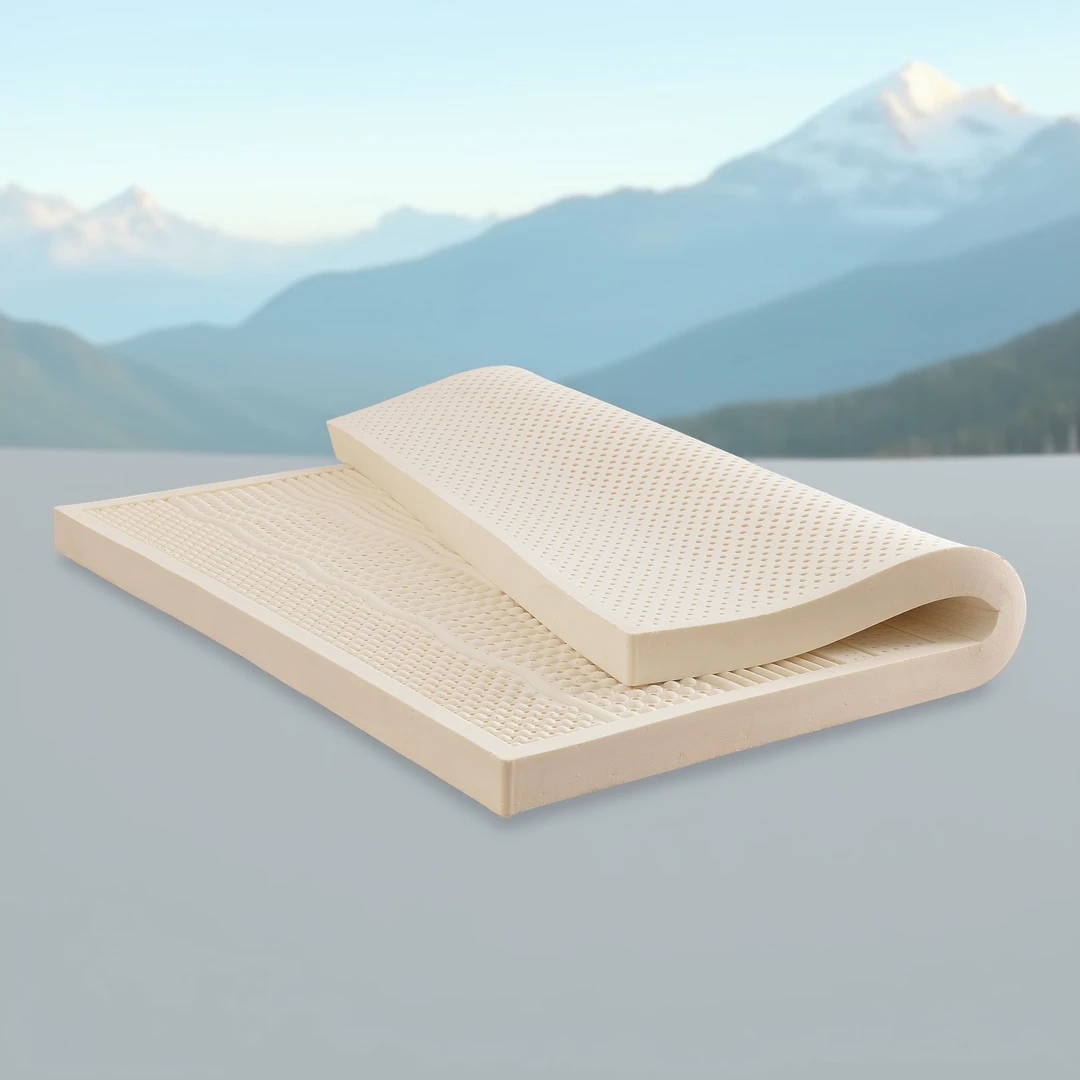 天然乳胶床垫家用1.8米床垫1.5米学生宿舍榻榻米睡垫软垫加厚定制