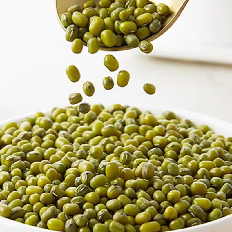 云南农家新小绿豆可做绿豆沙绿豆冰绿豆粥生豆芽