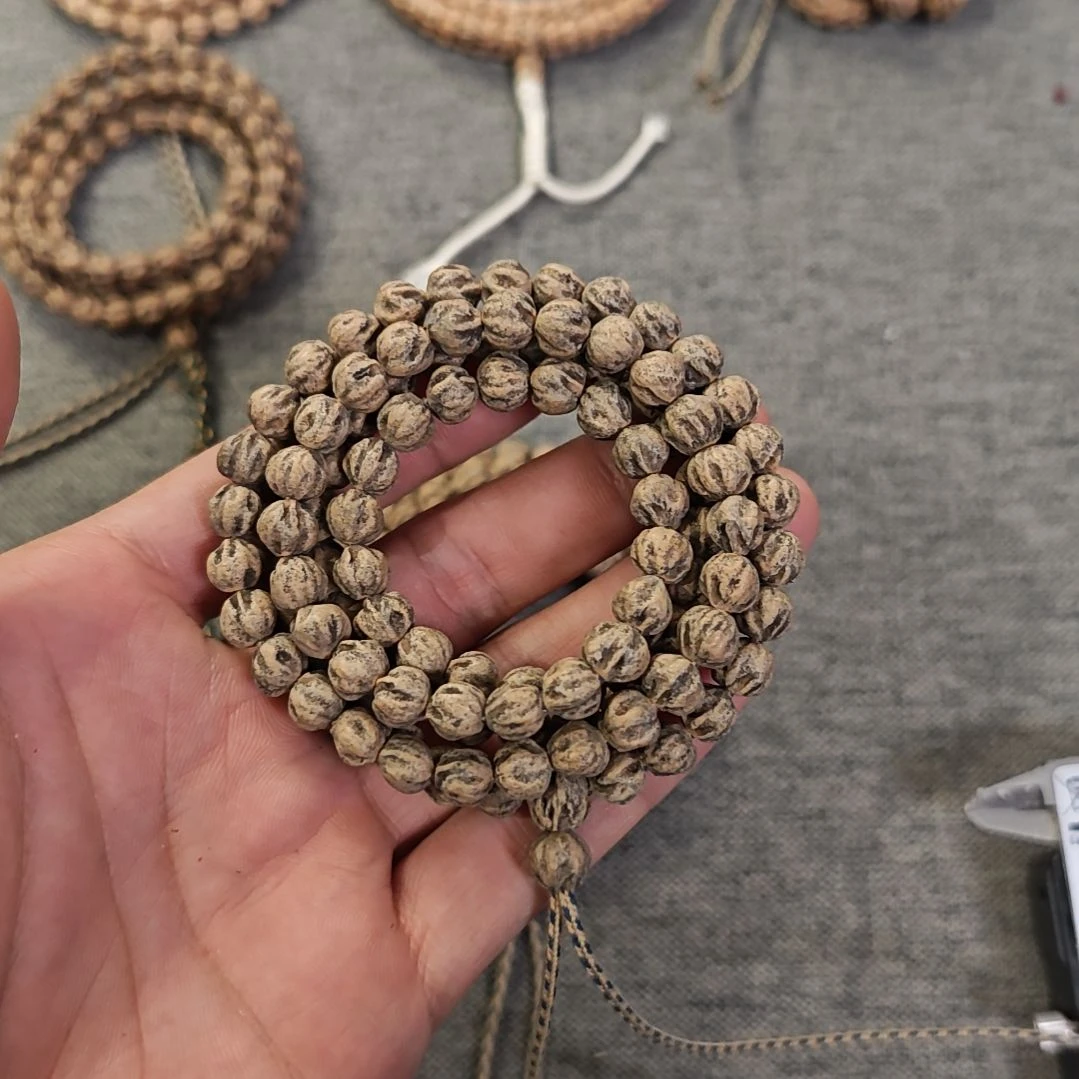 菩提热振柏香籽脏鬼