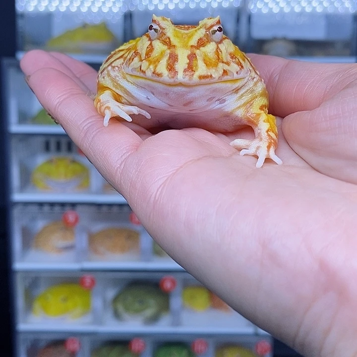 特价秒杀现货特价