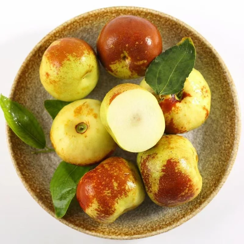 正宗蟠枣2年苗基地直发大果纯甜大蟠枣树假一罚十