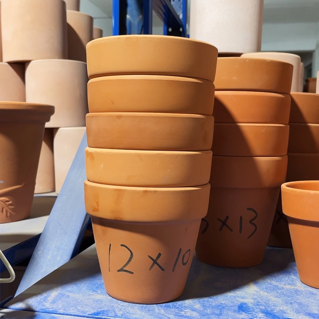 口12×10     发5+1