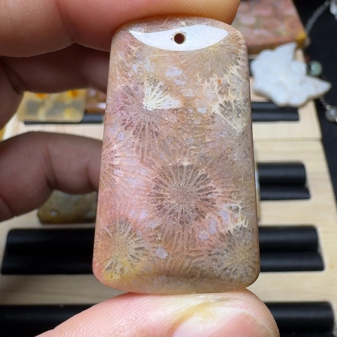 未镶嵌纯天然色有机玉石保真色硅化玉