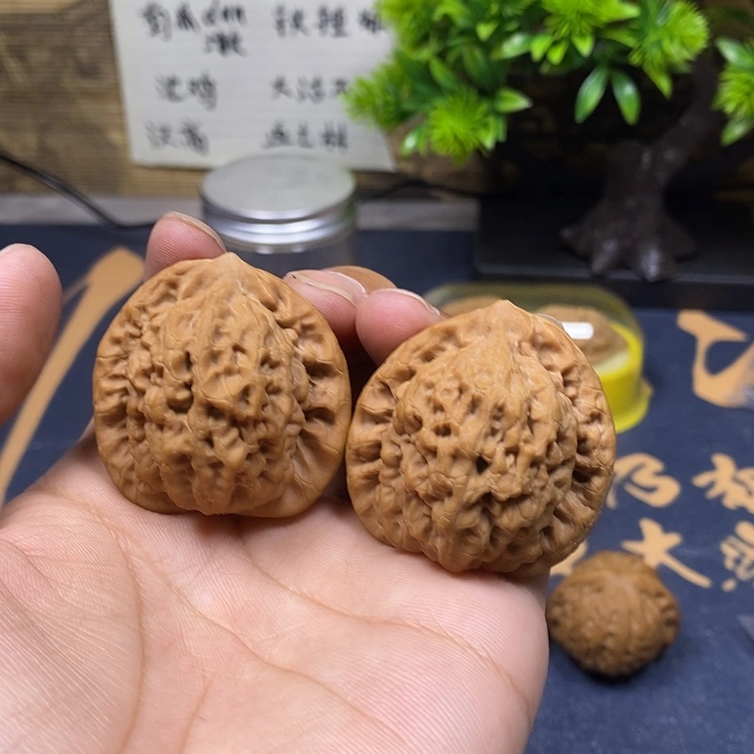 核桃42免全品无修金公子，精品对，35号，