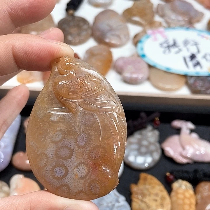 颈饰未镶嵌硅化珊瑚（珊瑚玉）