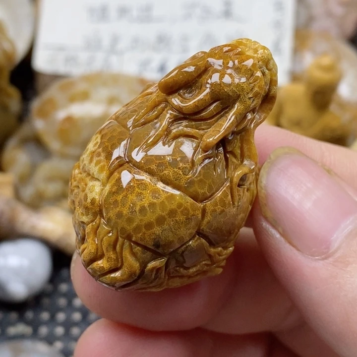 颈饰未镶嵌硅化珊瑚（珊瑚玉）小摆件