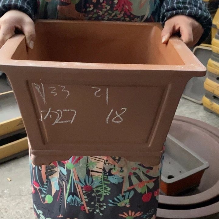 花盆紫砂只顾看手机