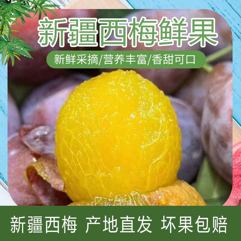 新疆水果法兰西小西梅正宗新鲜应季水果农家现包现发孕妇包邮