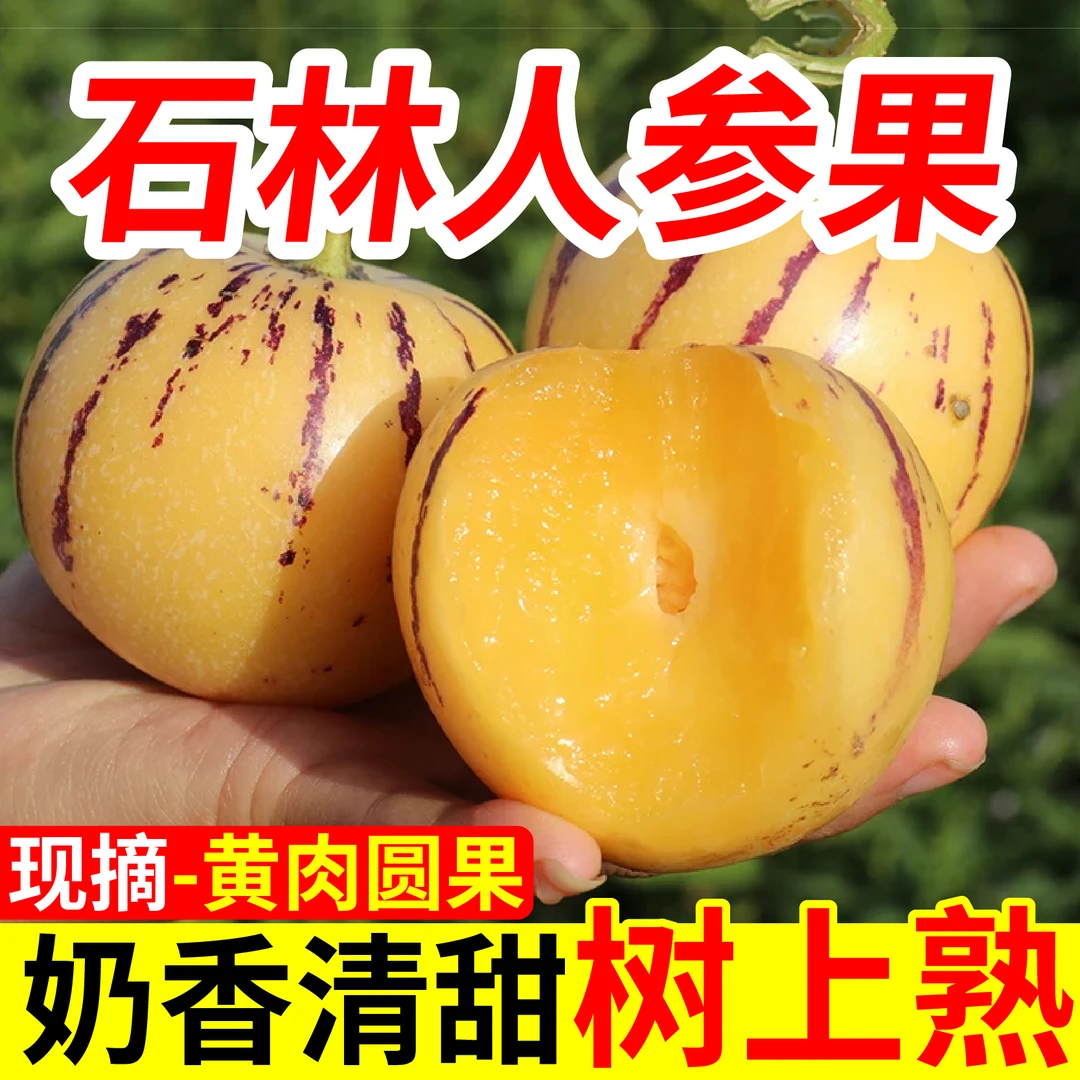 【现采自然熟】云南石林人参果黄肉圆果清甜多汁大果包邮新鲜直达