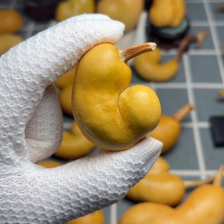 C***糖印666666666666666