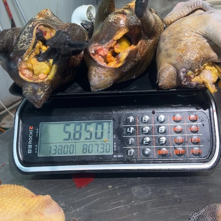 一号母鸡食用农产品中国大陆W***e