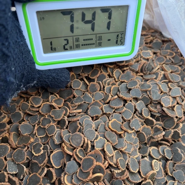 长白山九蒸九晒金边黑参片