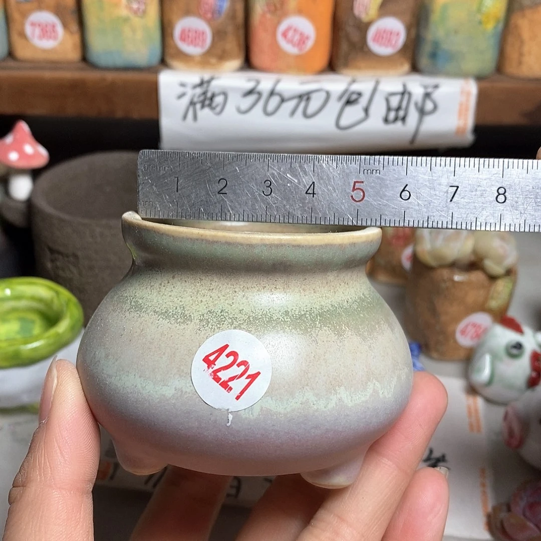 红陶拍5送一个小