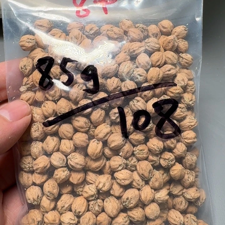 柏香籽/百香籽吊坠大*