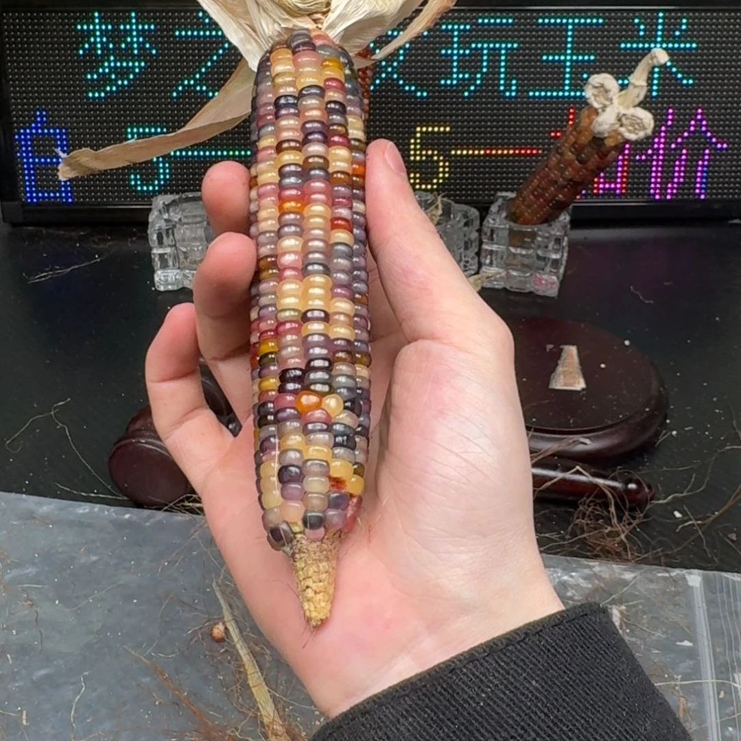 柏香籽/百香籽吊坠念*