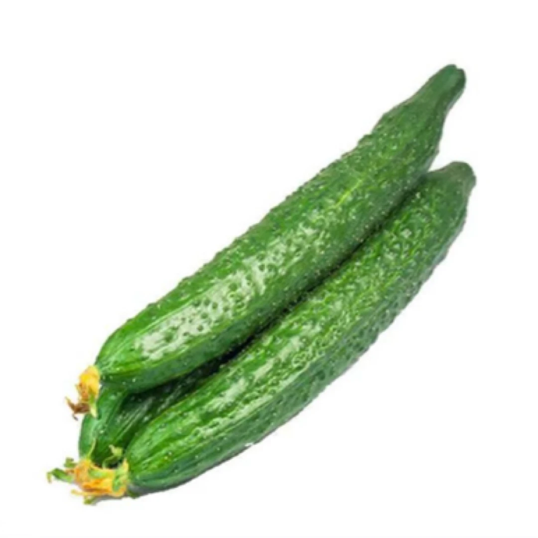 【黄瓜】河南当季农家自种薄皮绿心青瓜现摘现发