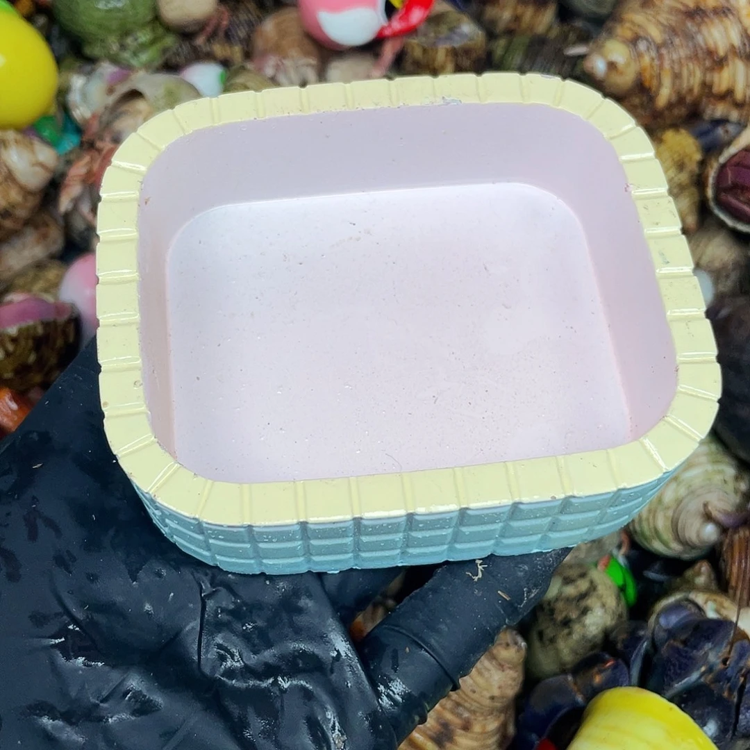 寄居蟹寄居蟹4511