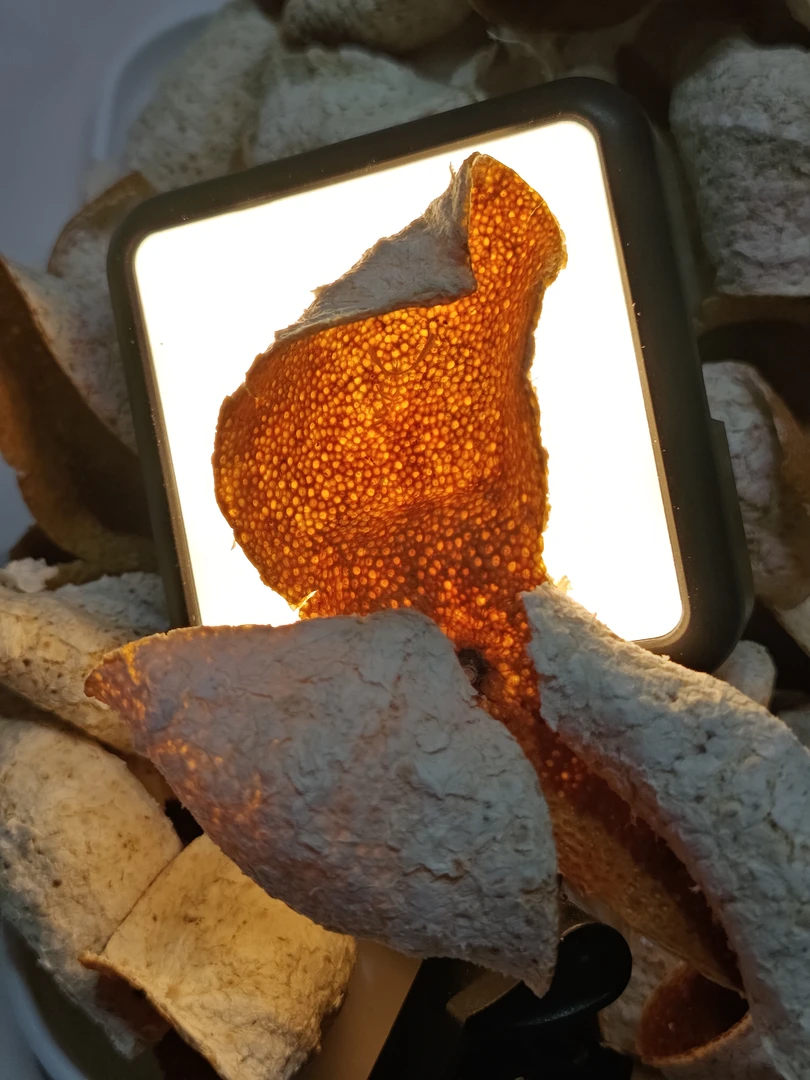 新会果皮2025大红皮皮薄透亮200/500克