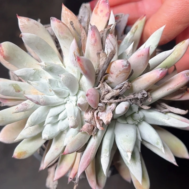 1353哈哈哈哈哈哈哈