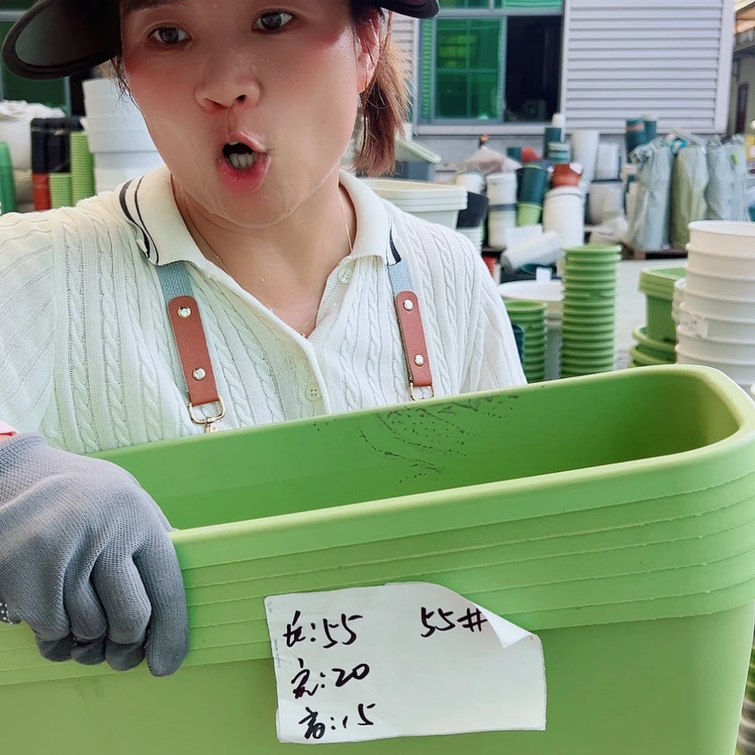 瑕疵菜盆长55#果绿色5个无托