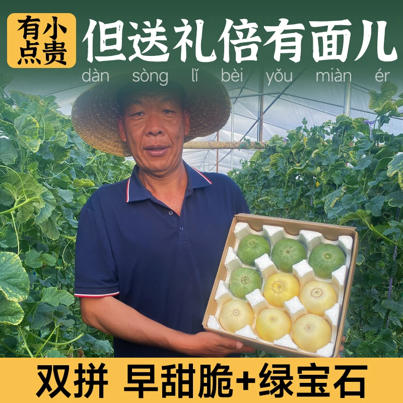 山东头茬两色拼绿宝石小蜜蜂甜瓜新鲜现摘脆甜多汁当季鲜果甜瓜