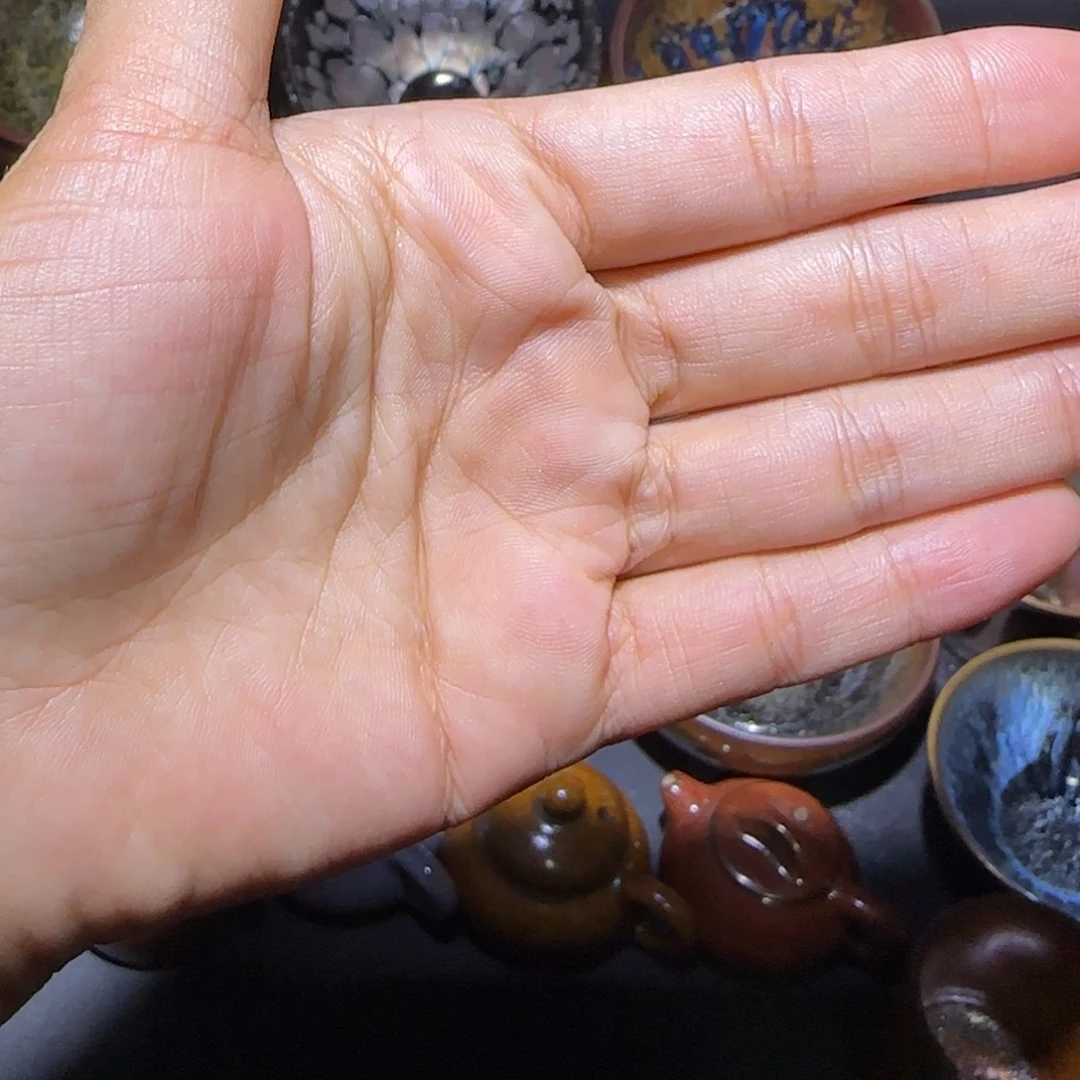 向***走茶盏福建盏茶器租