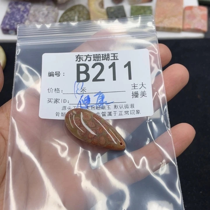 硅化珊瑚（珊瑚玉）颈饰合金健**宁