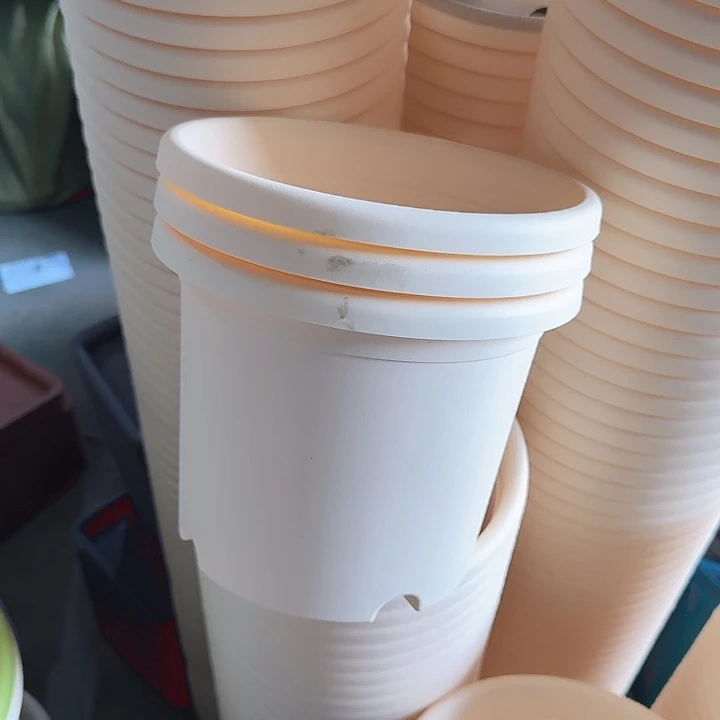 瑕疵3#米黄10个无托