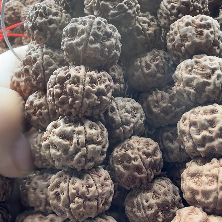 大***水金刚菩提吊坠神秘一号10条18左右