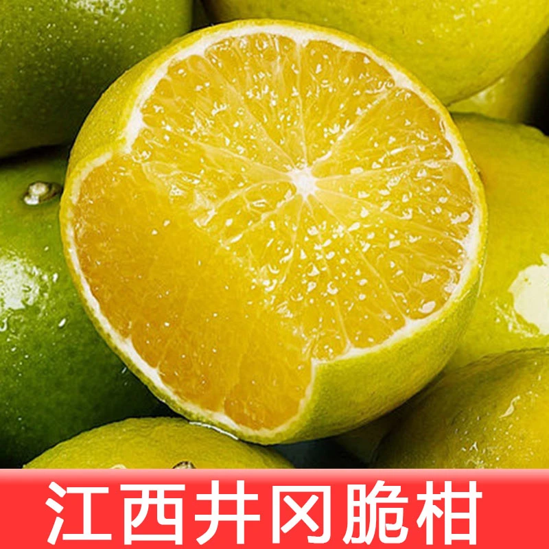 江西井冈脆柑精品小柑桔脆甜多汁微酸好剥新鲜当季水果现摘5斤装