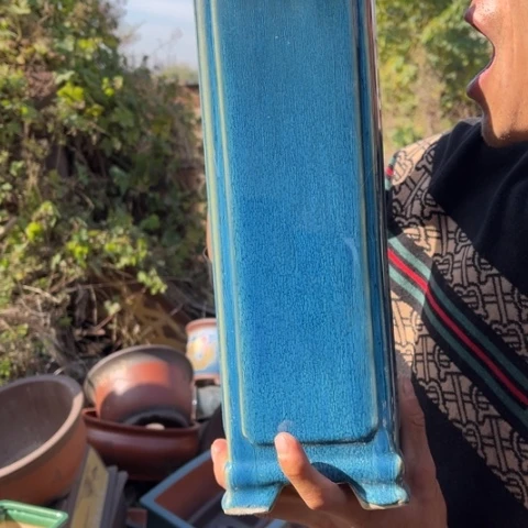 花盆紫砂特价特价包邮