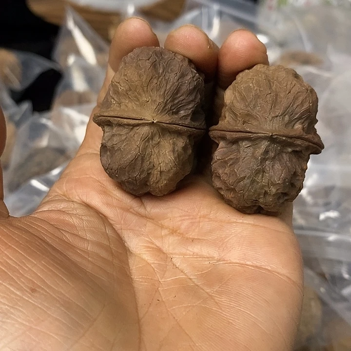 核桃云南铁核桃基地102