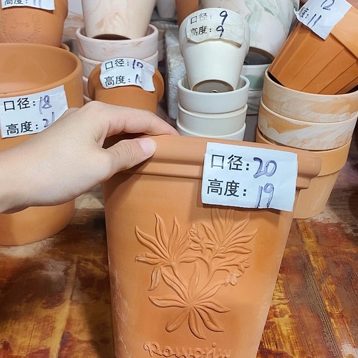 香草20×19-1