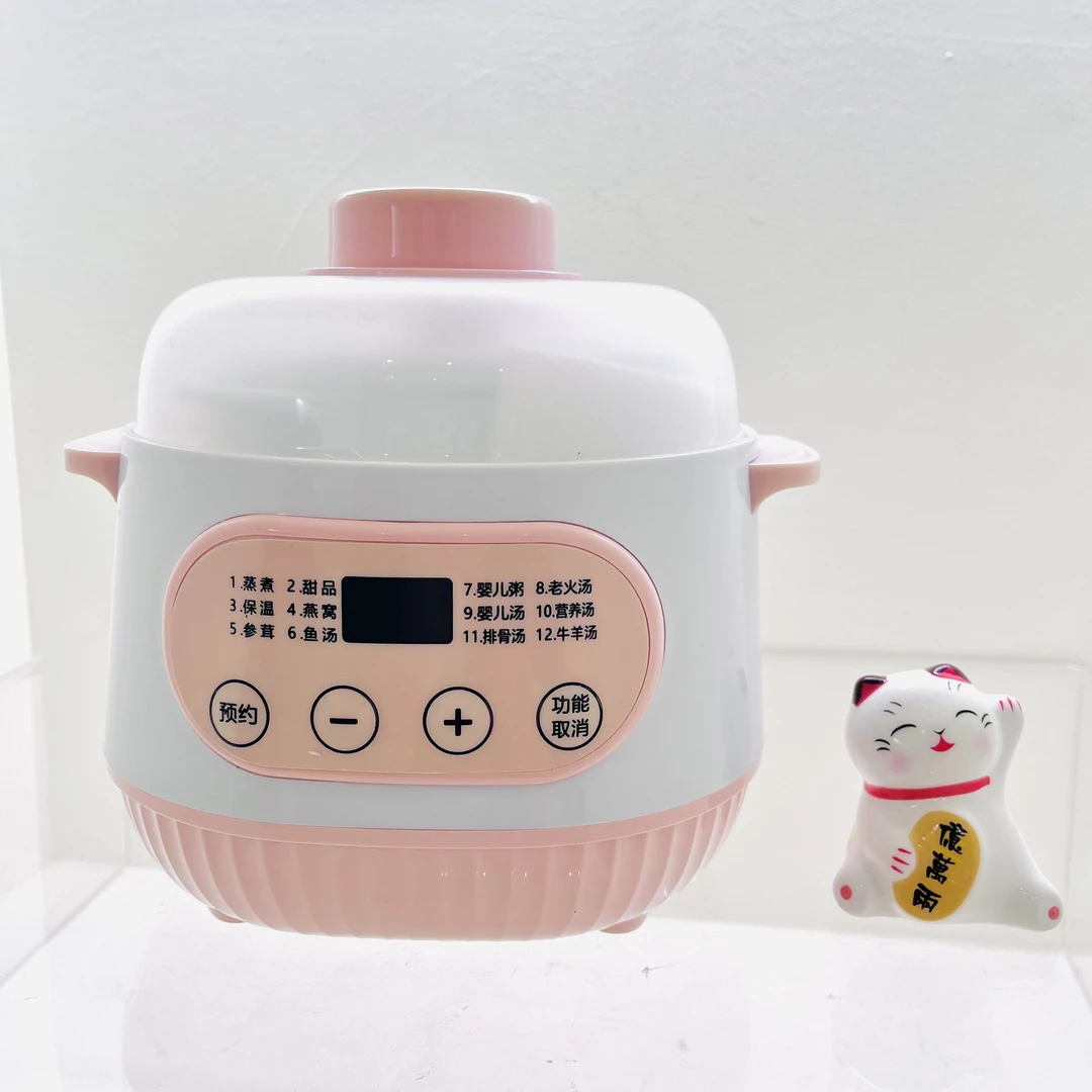 家用电炖煲汤煮粥锅