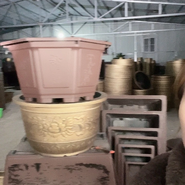 圆70一个有孔金色的