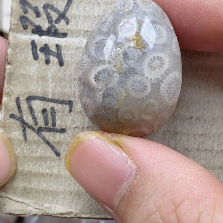 颈饰未镶嵌硅化珊瑚（珊瑚玉）s**.
